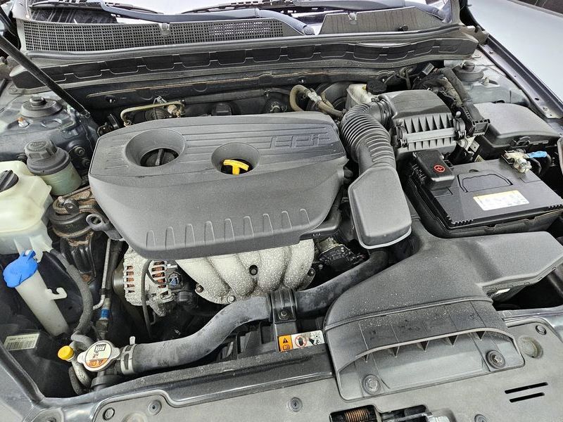 Image 5