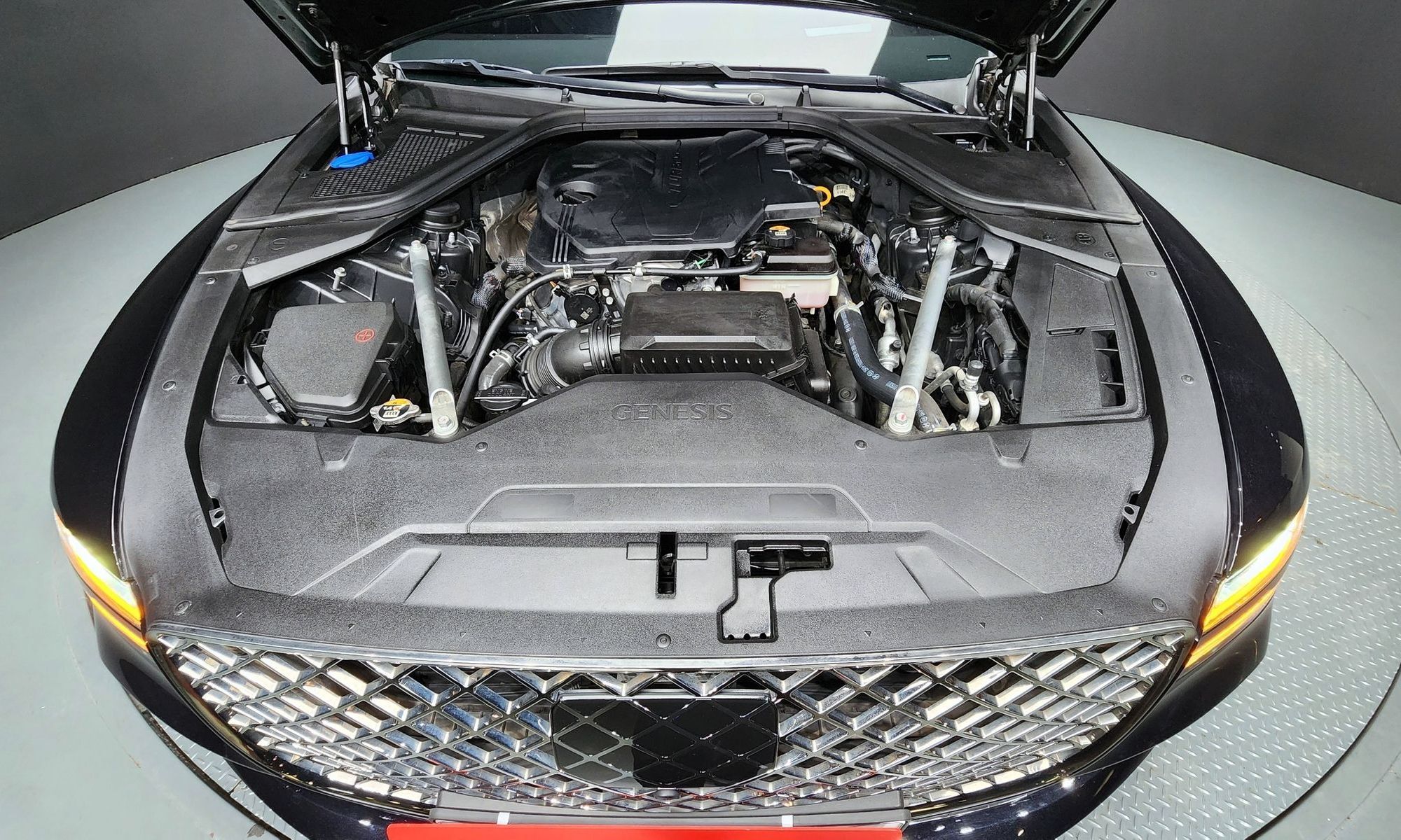 Image 5
