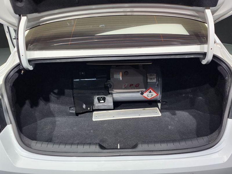 Image 19