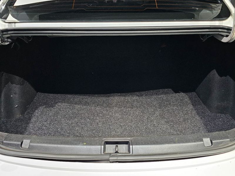 Image 19