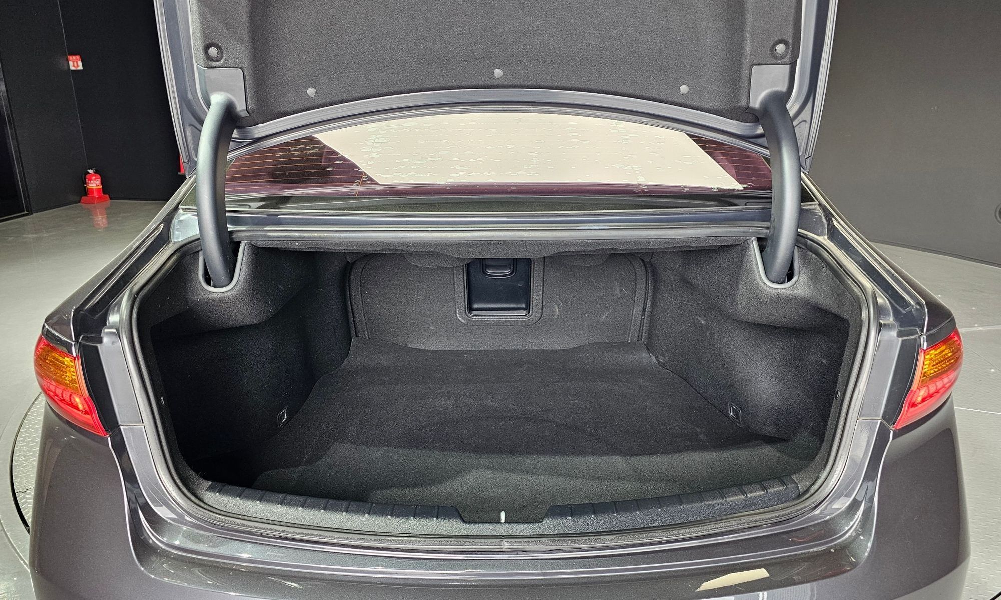 Image 19