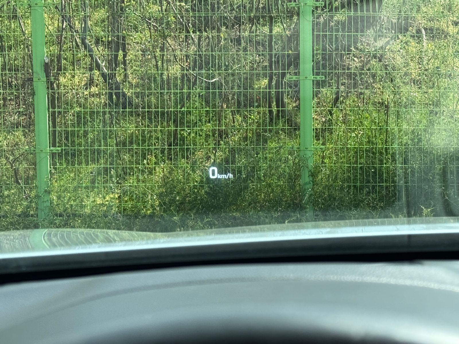 Image 12