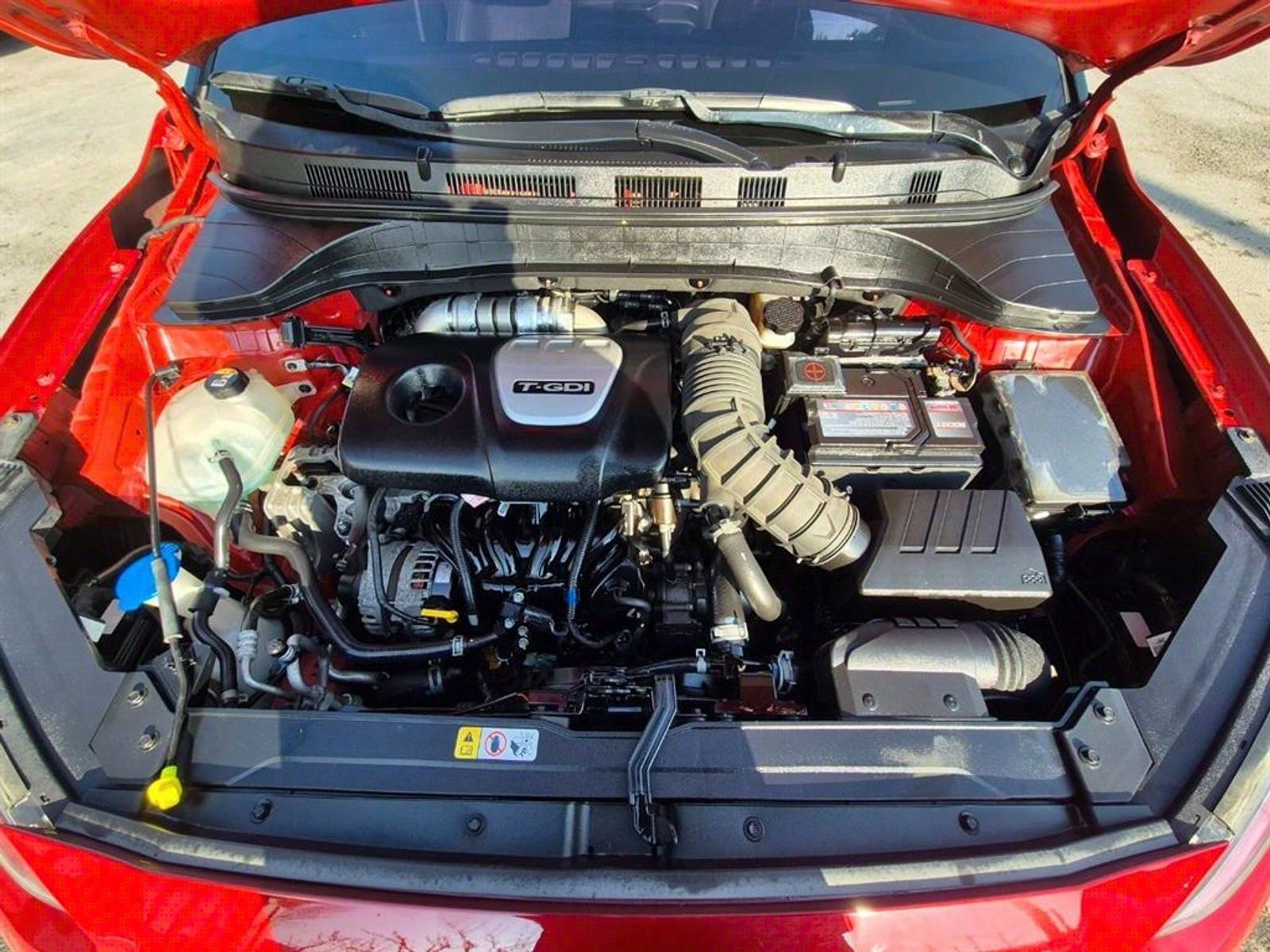 Image 19
