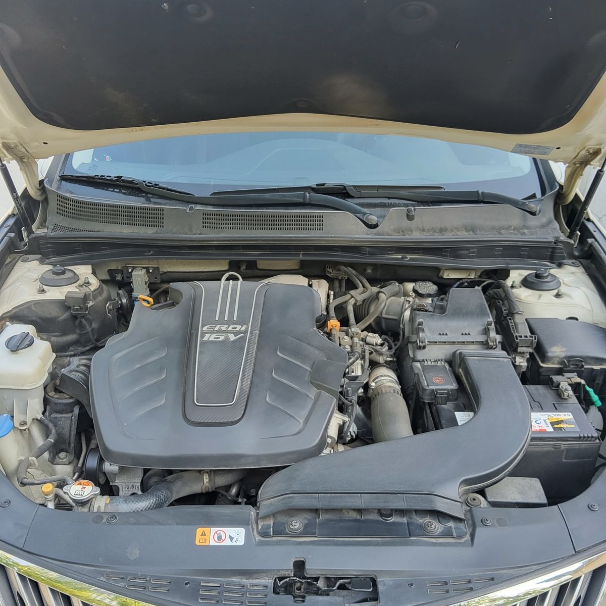 Image 12