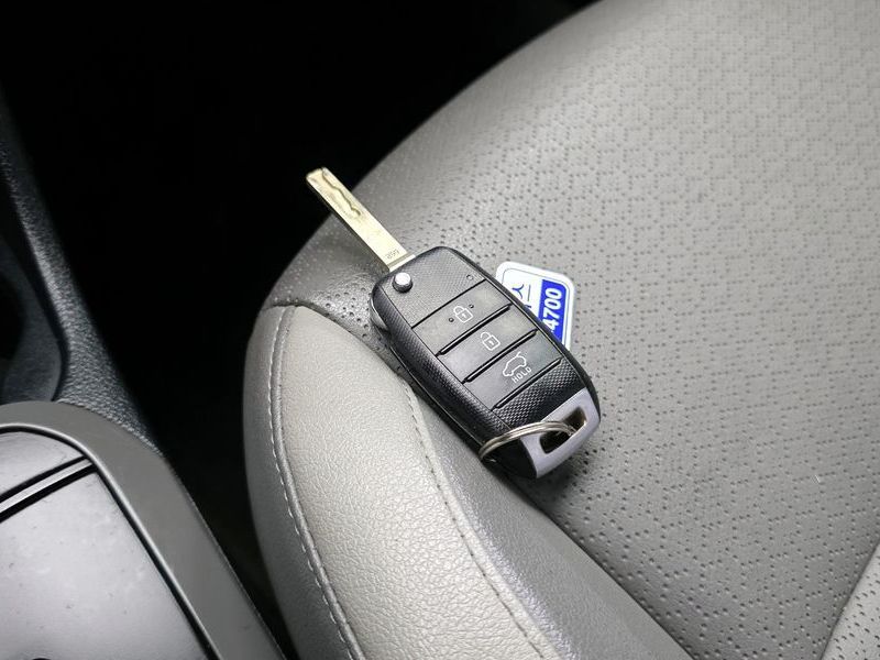 Image 17