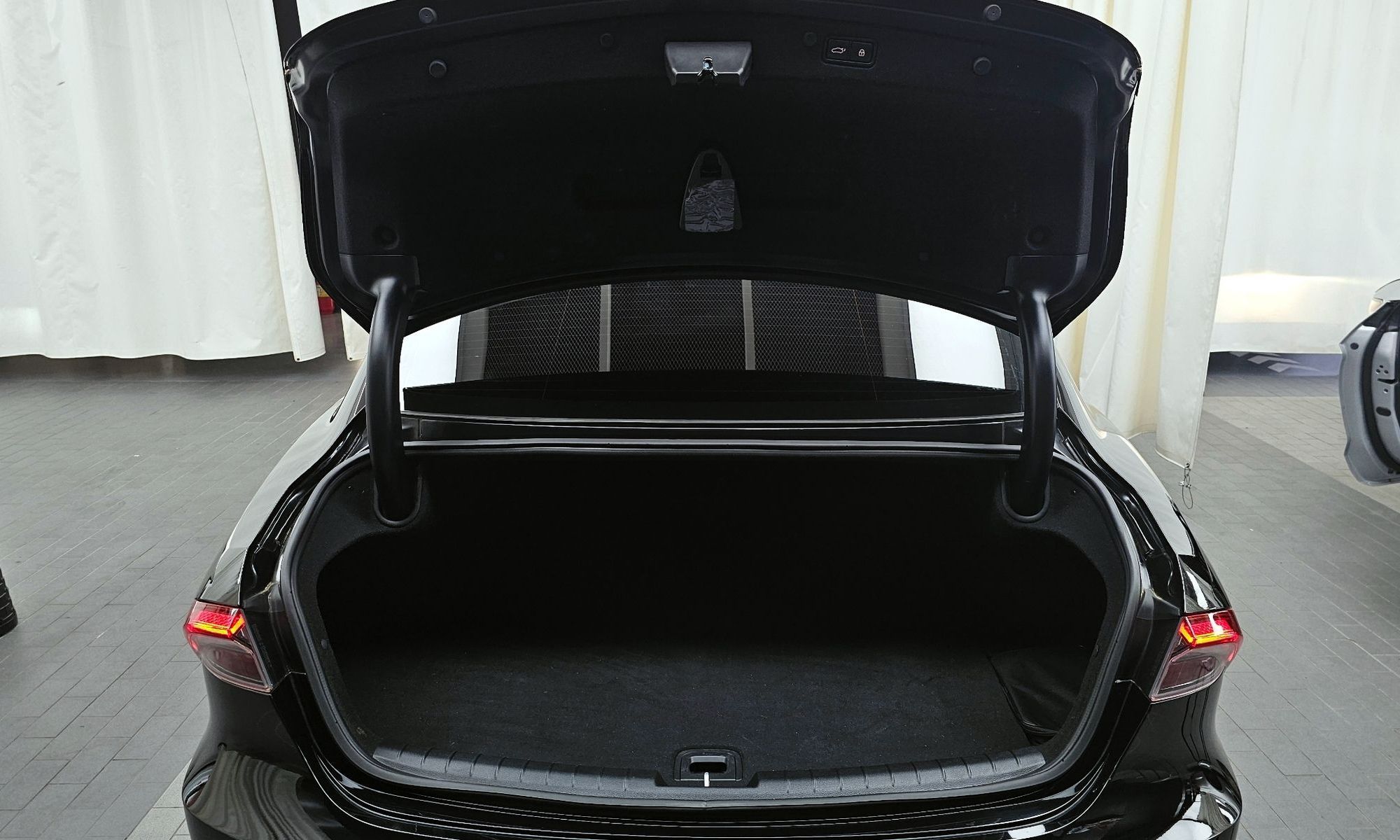 Image 19