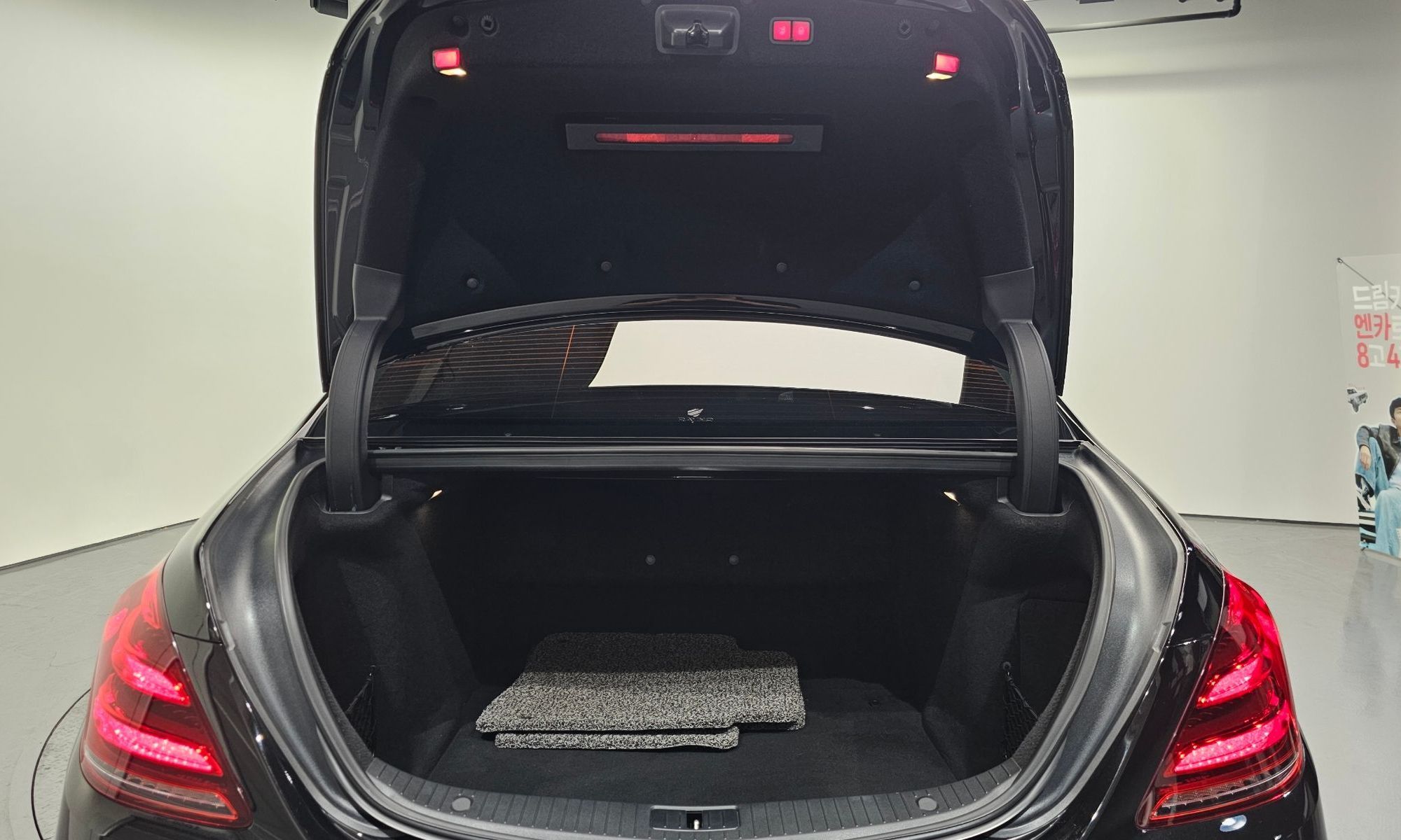 Image 19