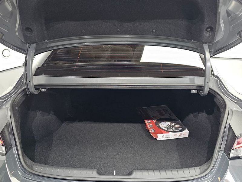 Image 19