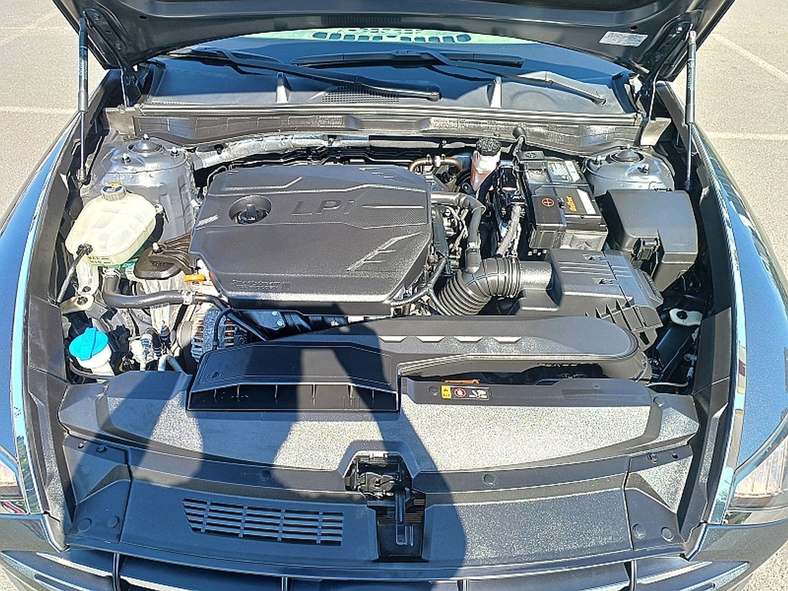 Image 7