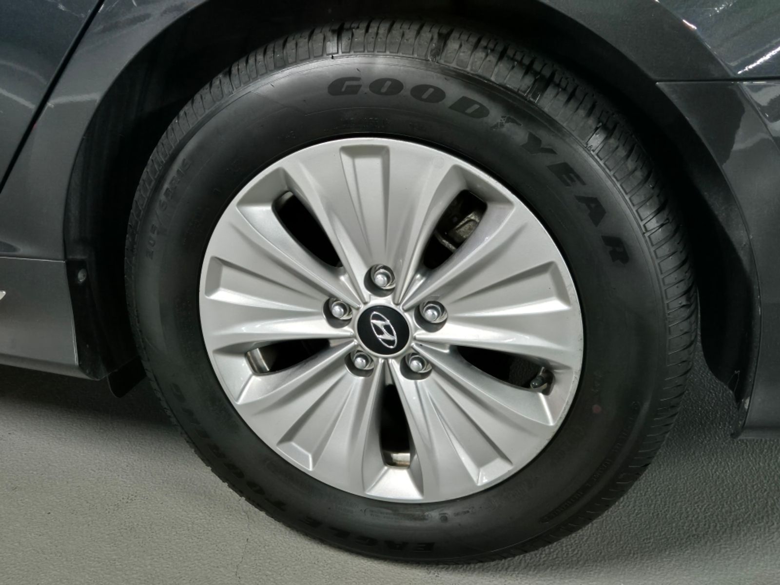 Image 7