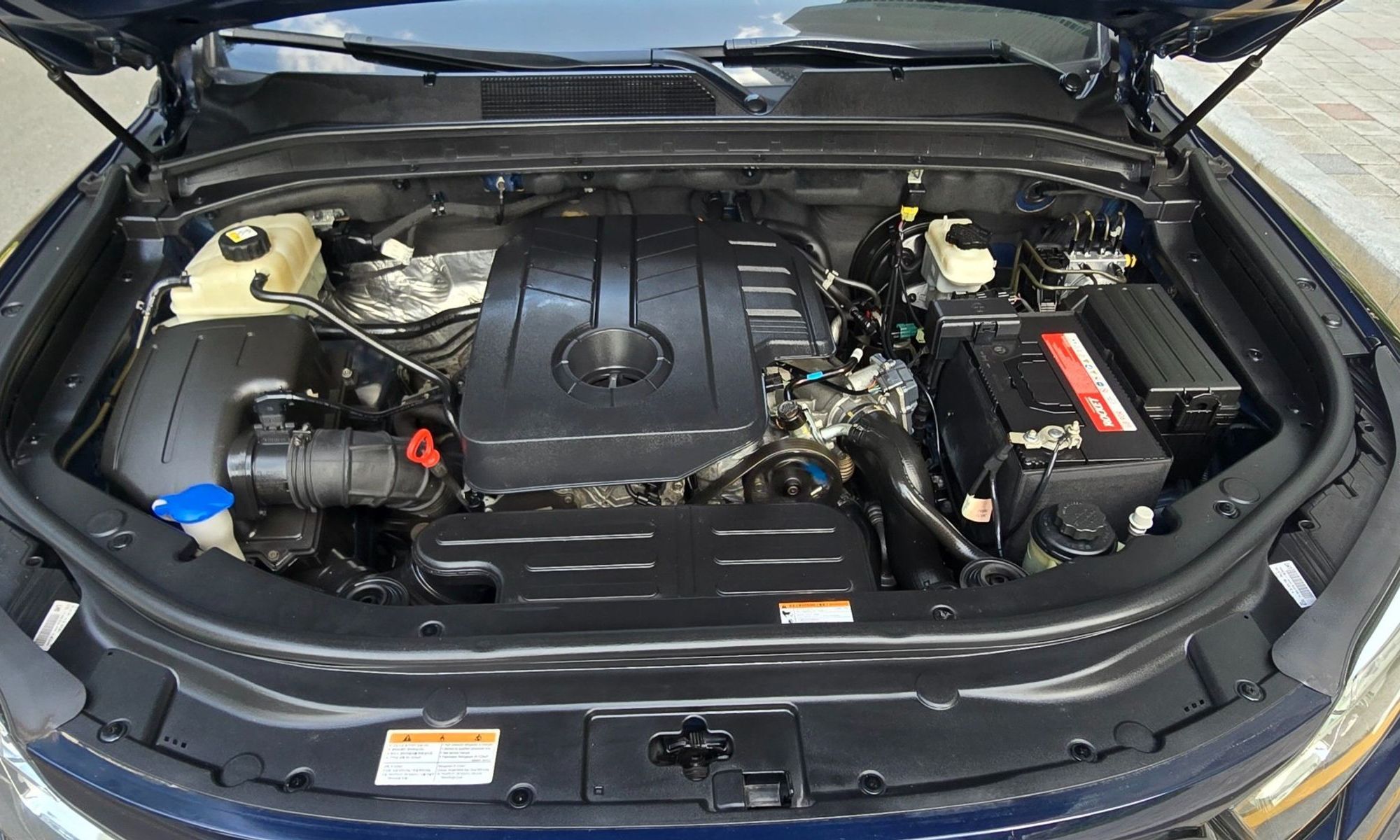 Image 5