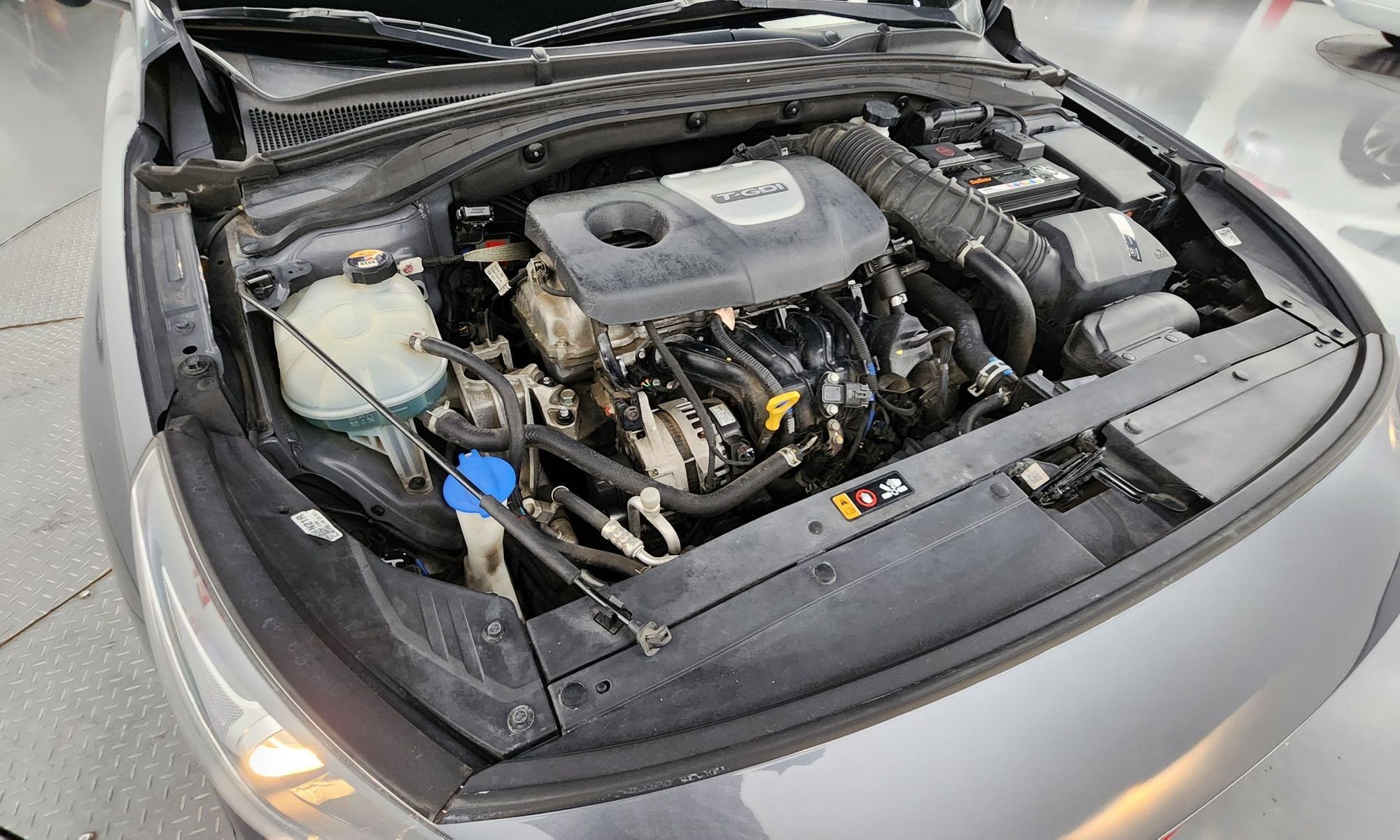 Image 5