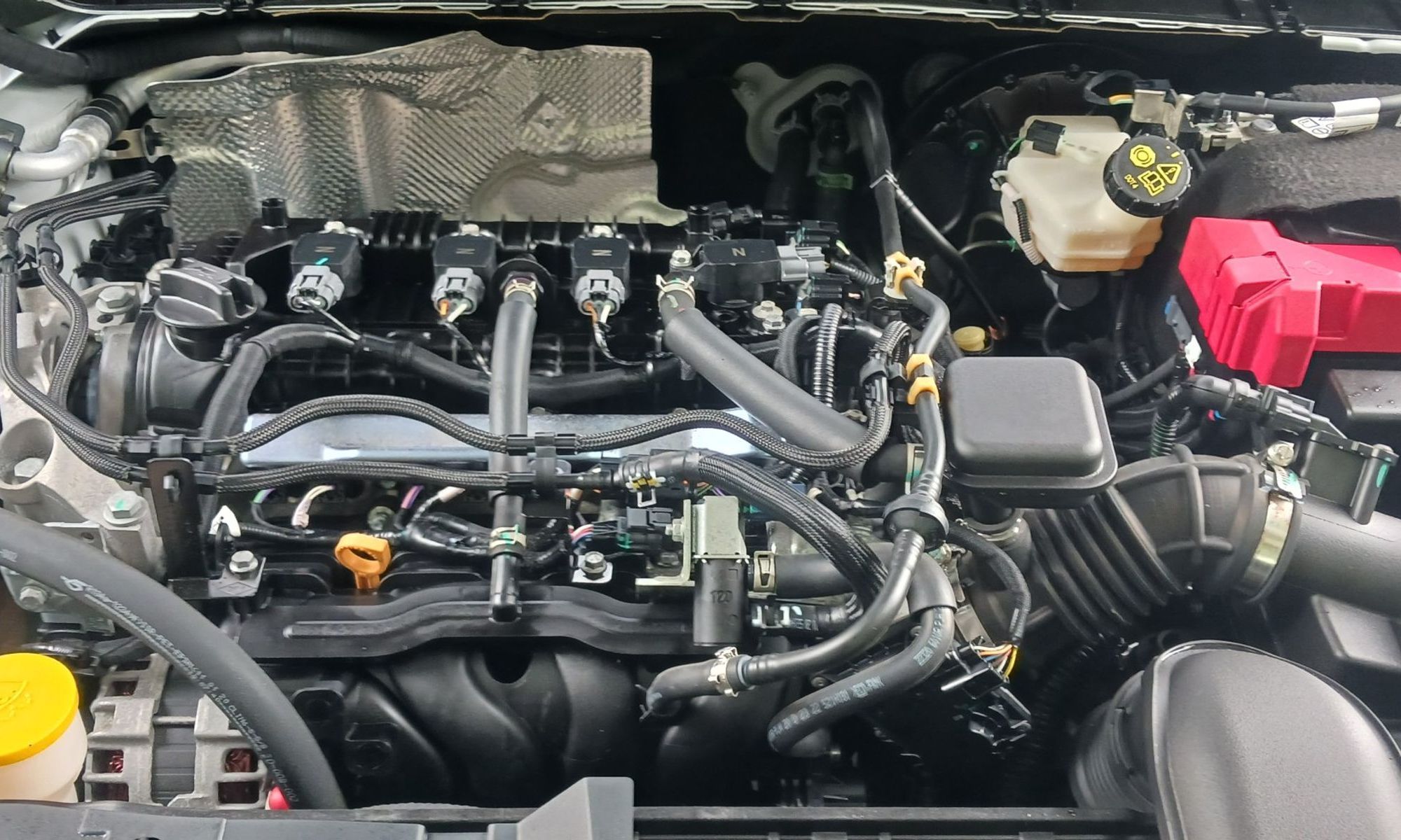 Image 6