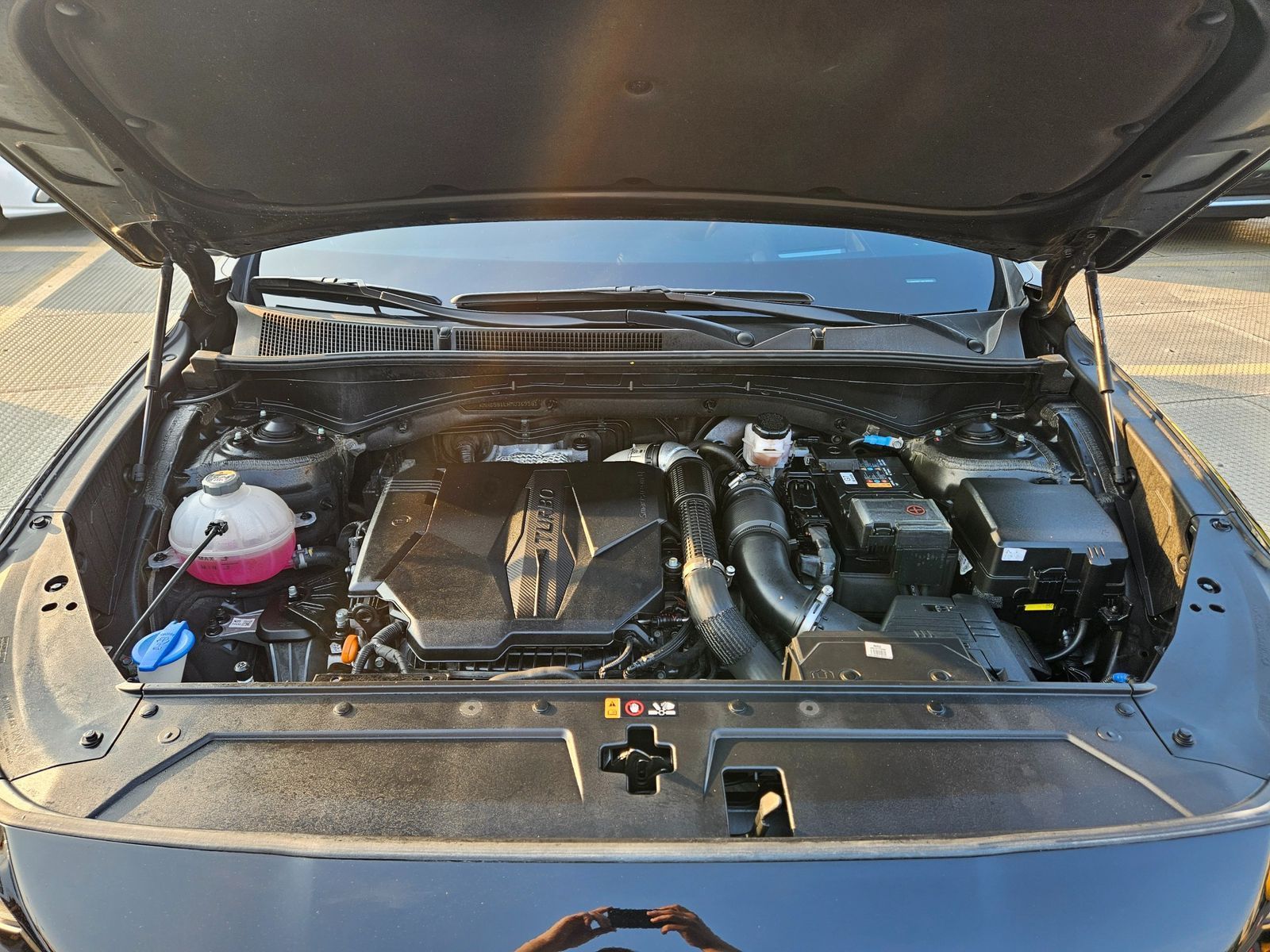 Image 5