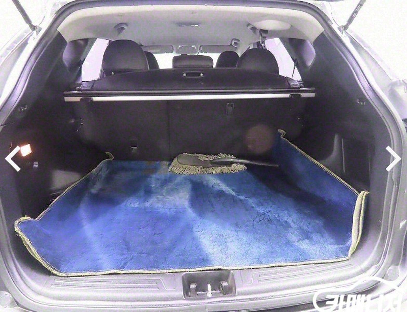 Image 7