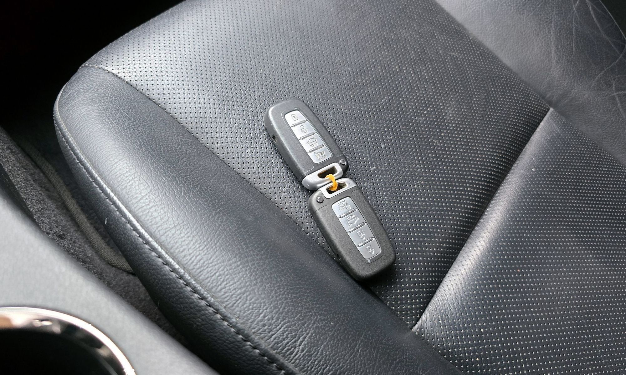 Image 15