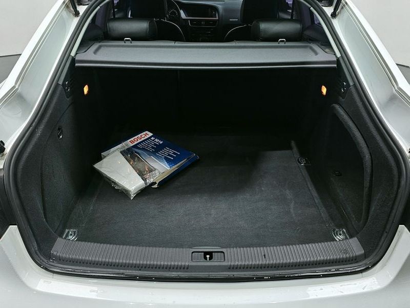 Image 19