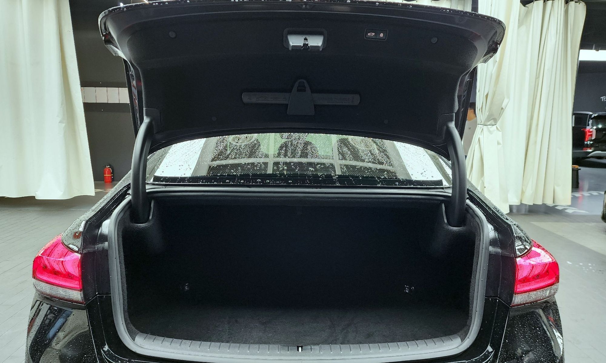 Image 19