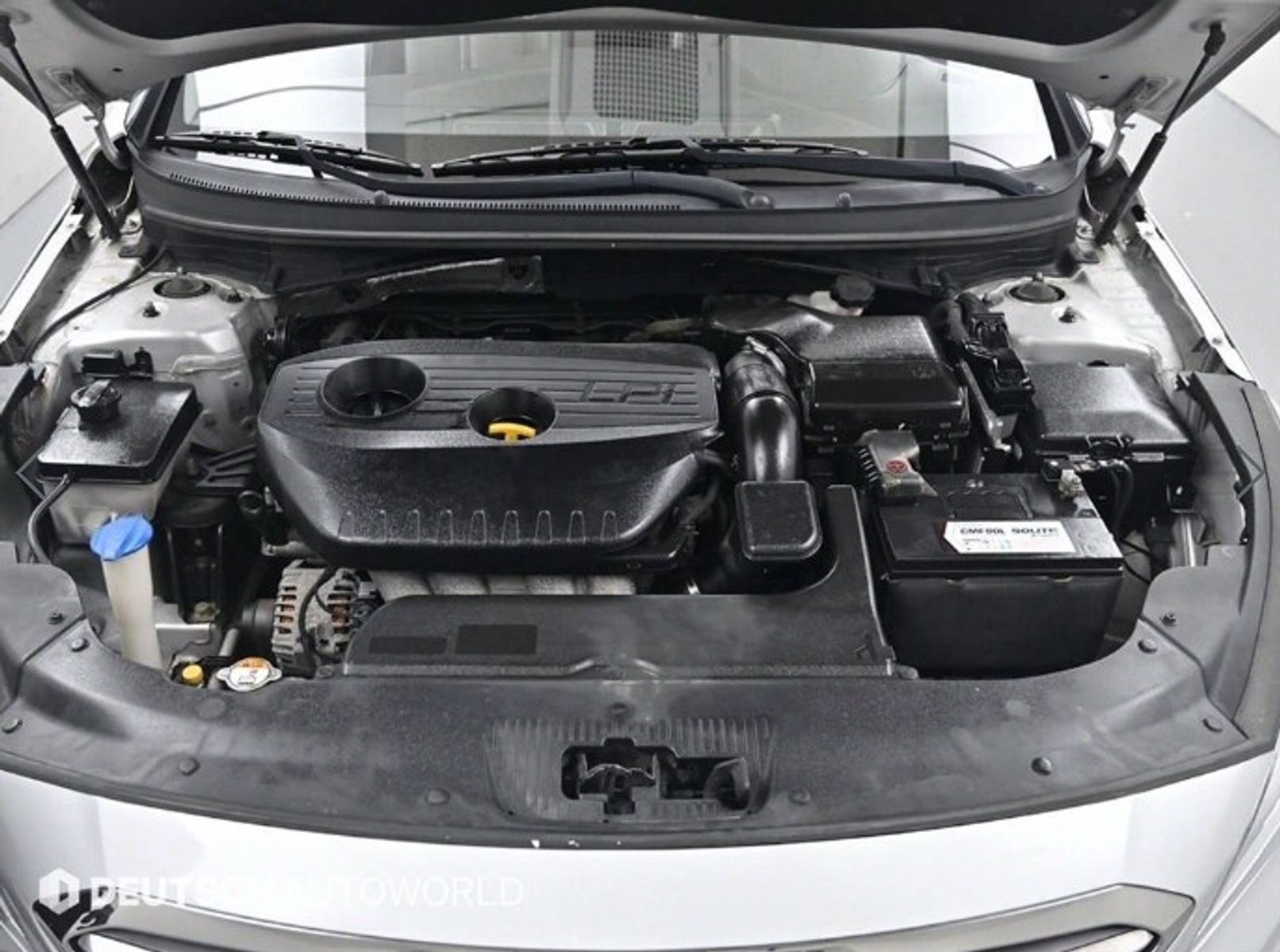 Image 5
