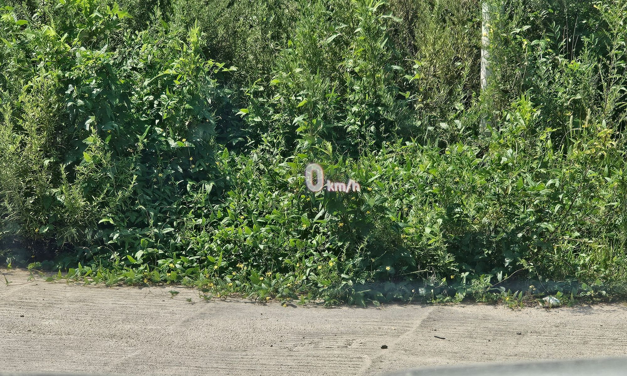 Image 13