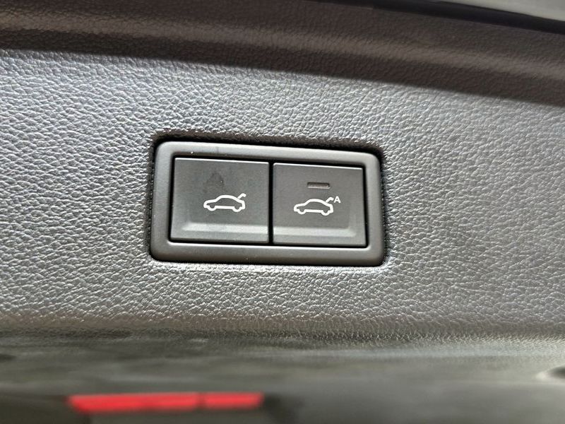 Image 19