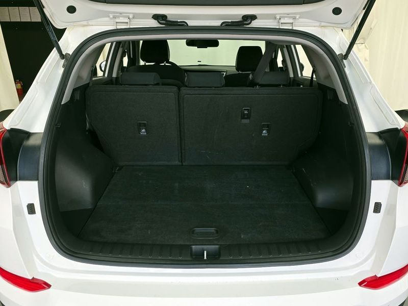 Image 19