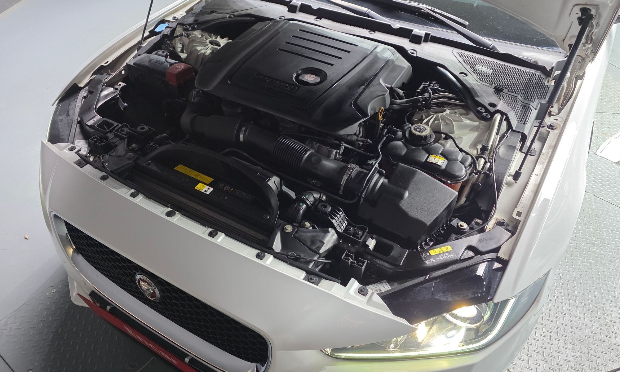 Image 5