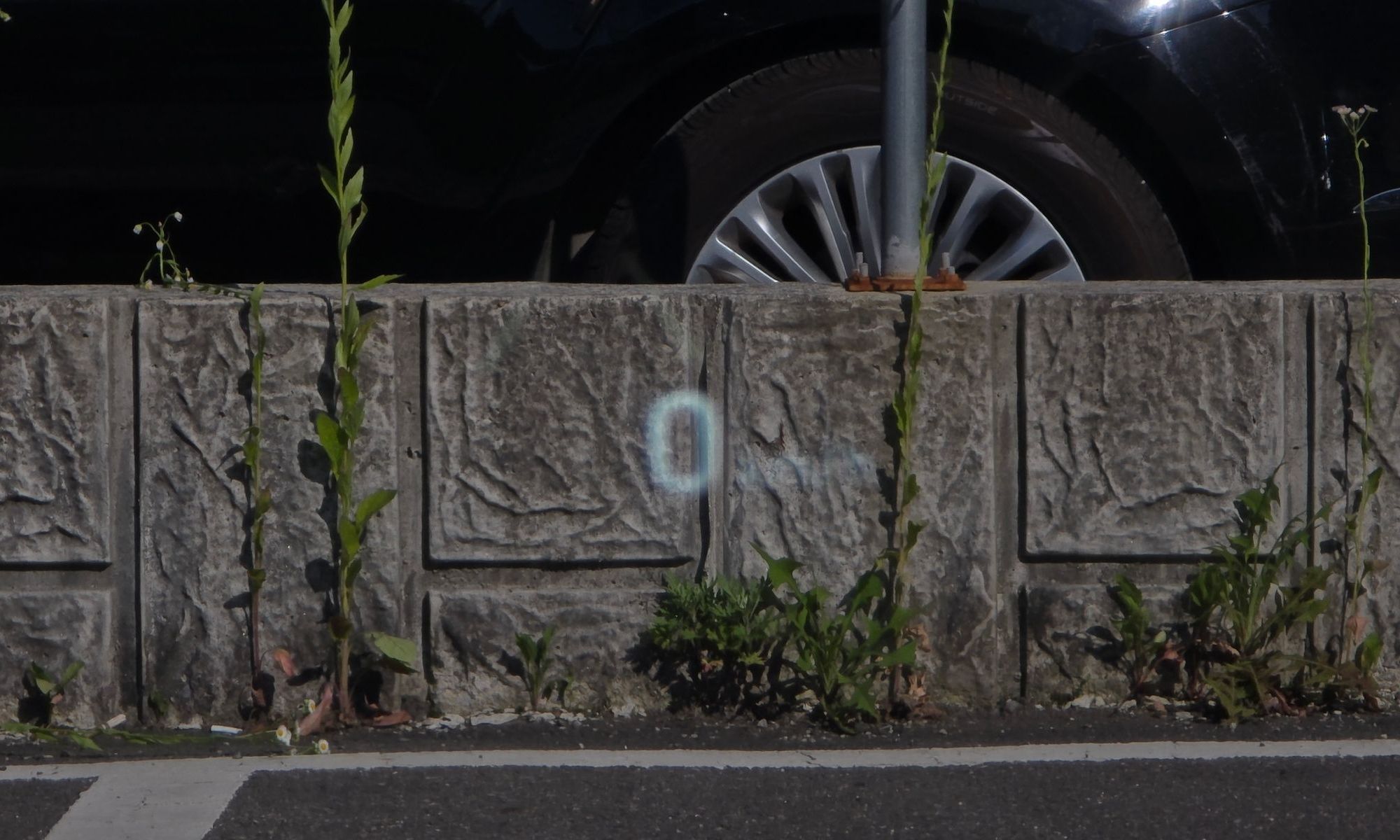 Image 17