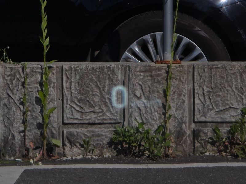 Image 17