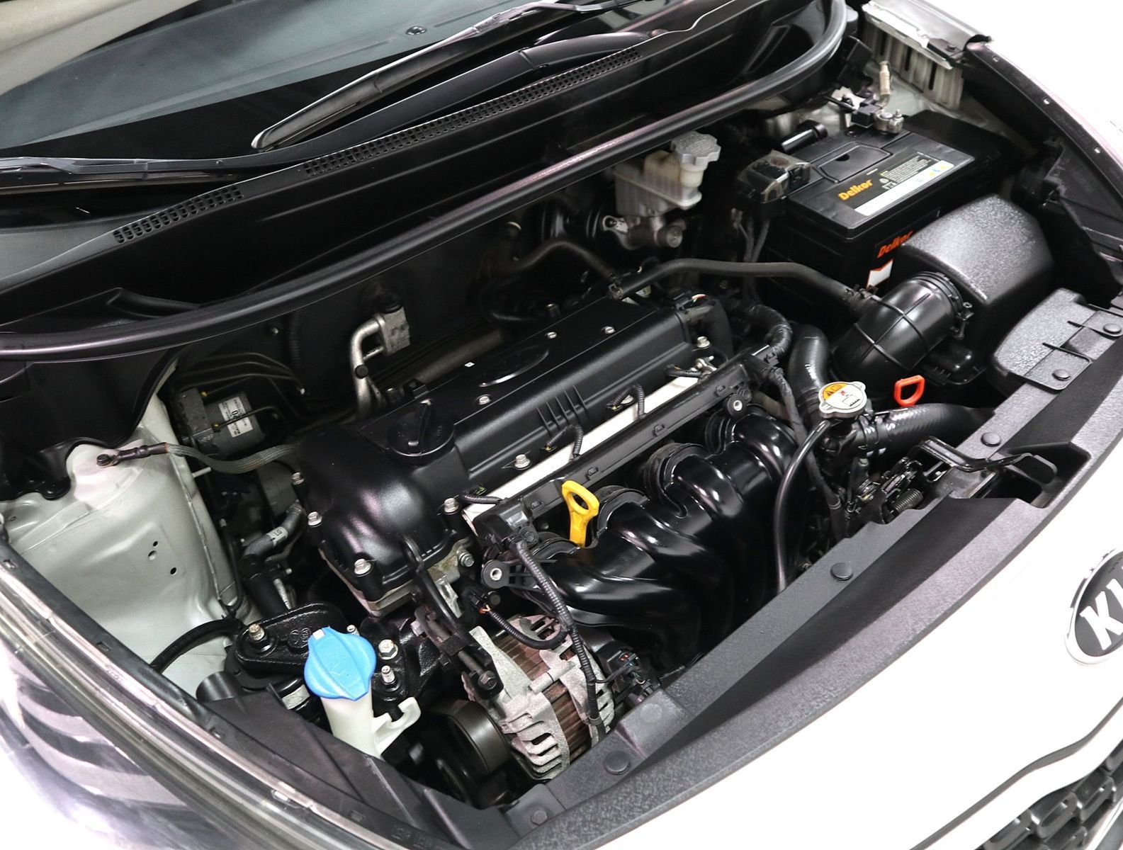 Image 5