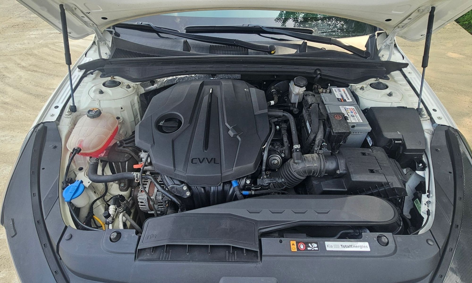 Image 5