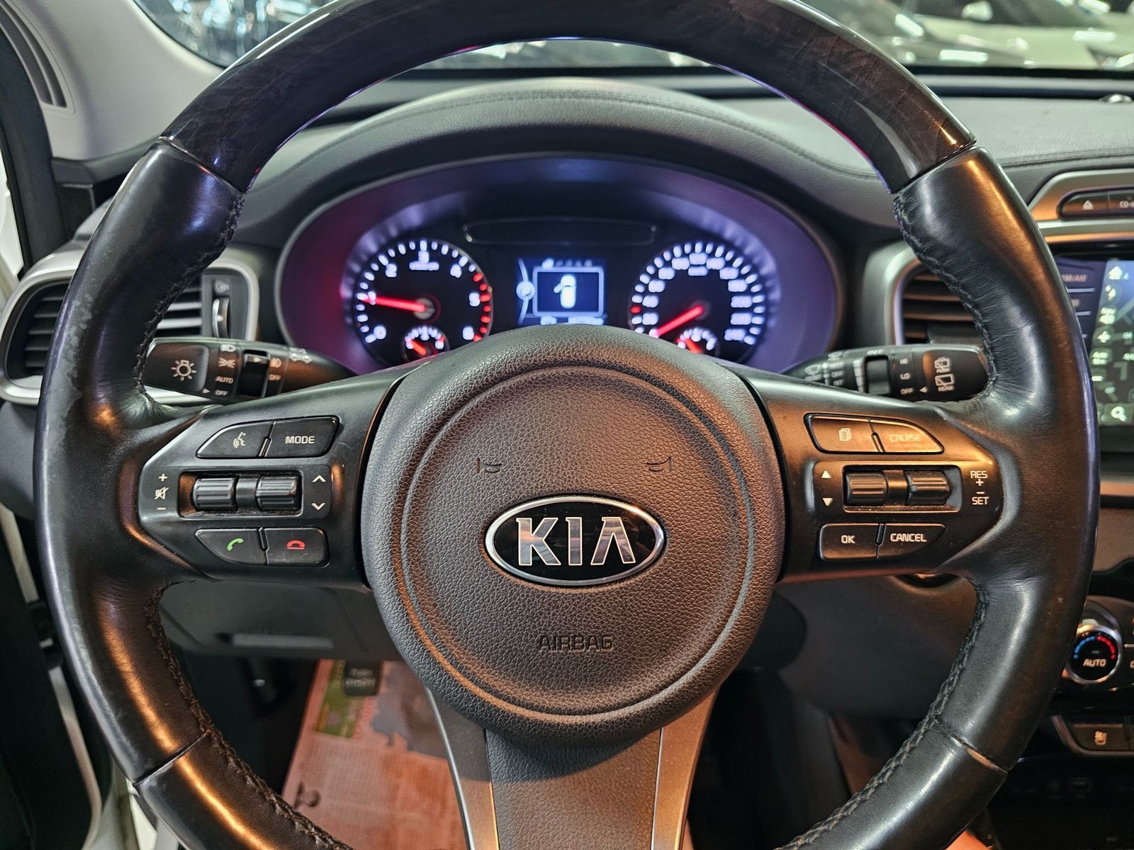 Image 17
