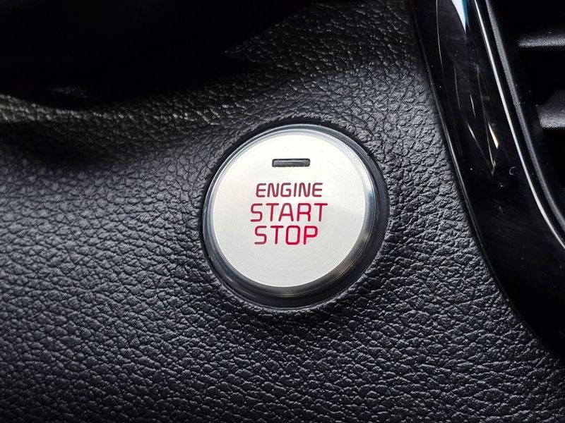 Image 13