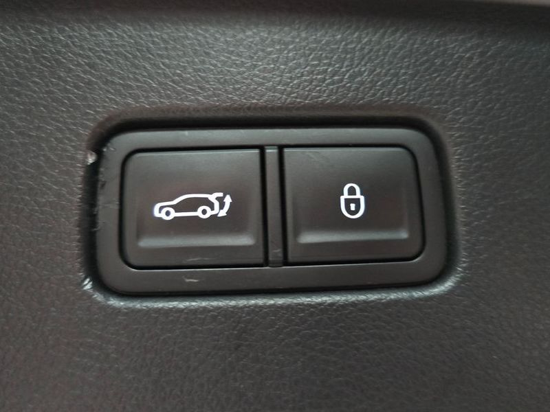 Image 19