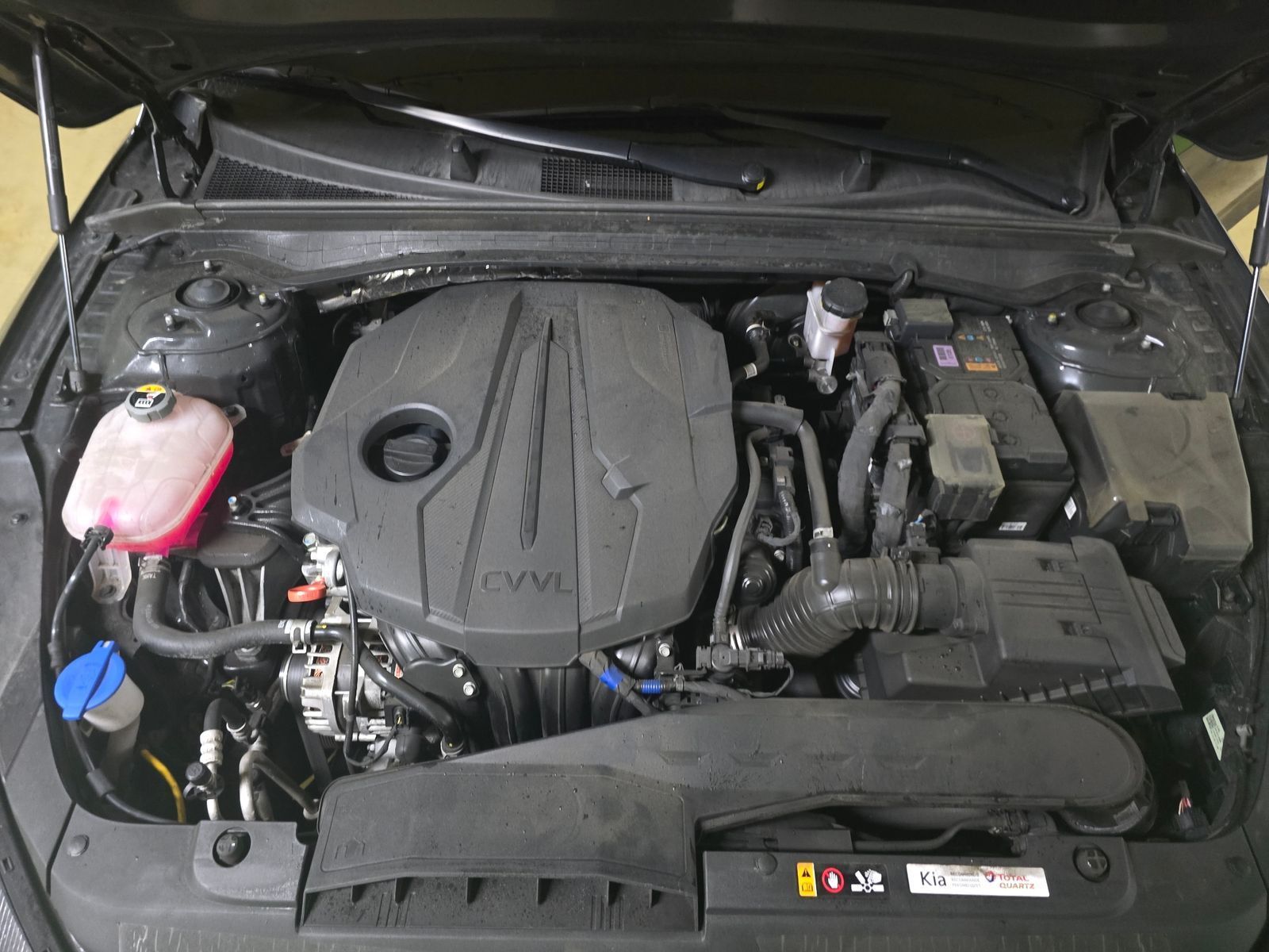 Image 5