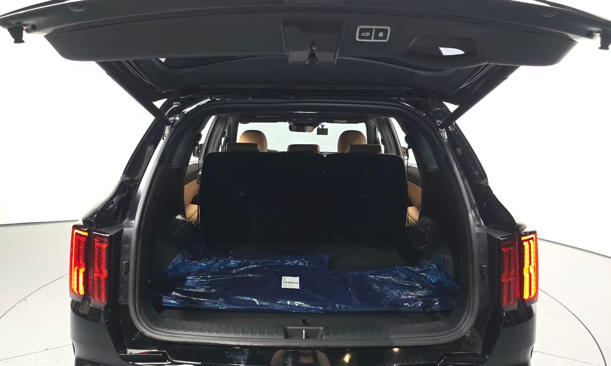 Image 19