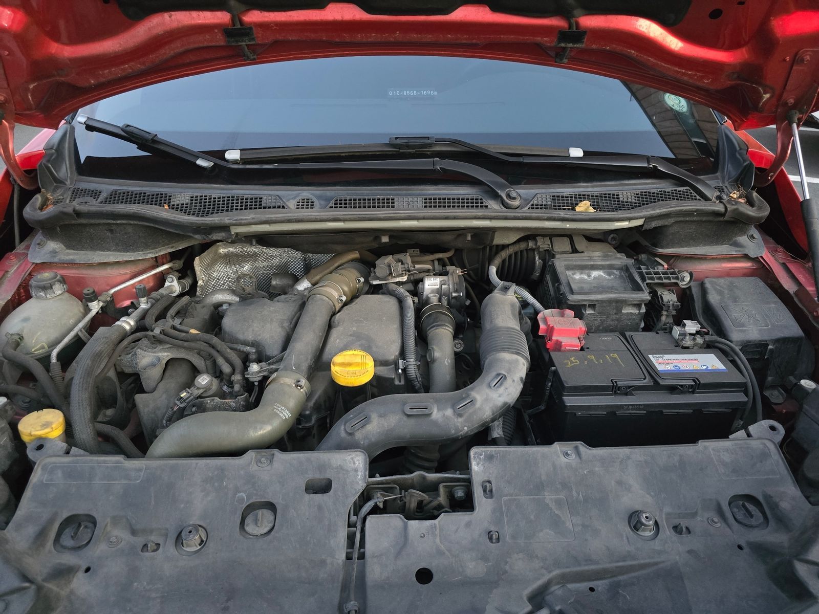Image 5