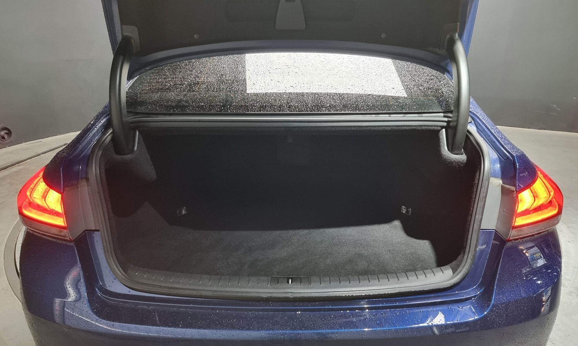 Image 19