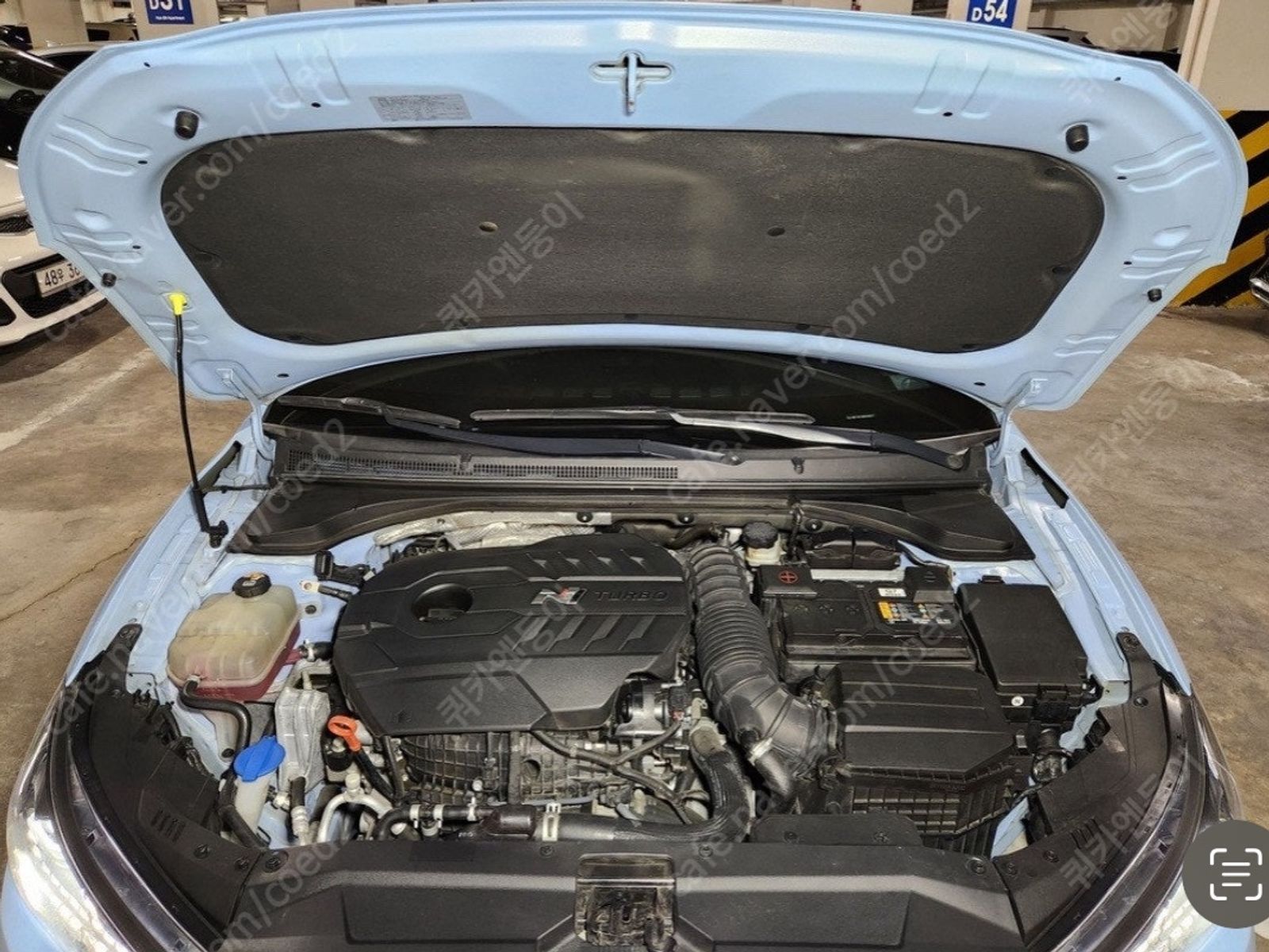 Image 6