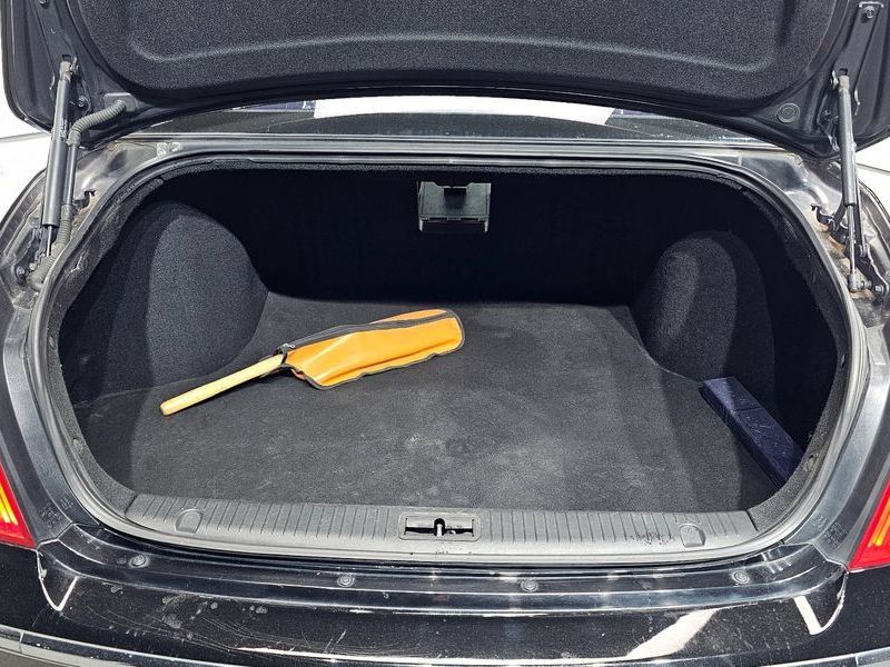 Image 19