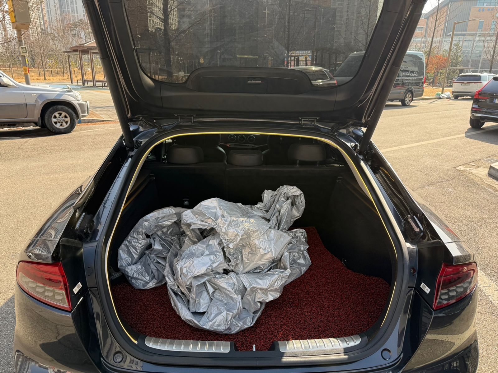 Image 19