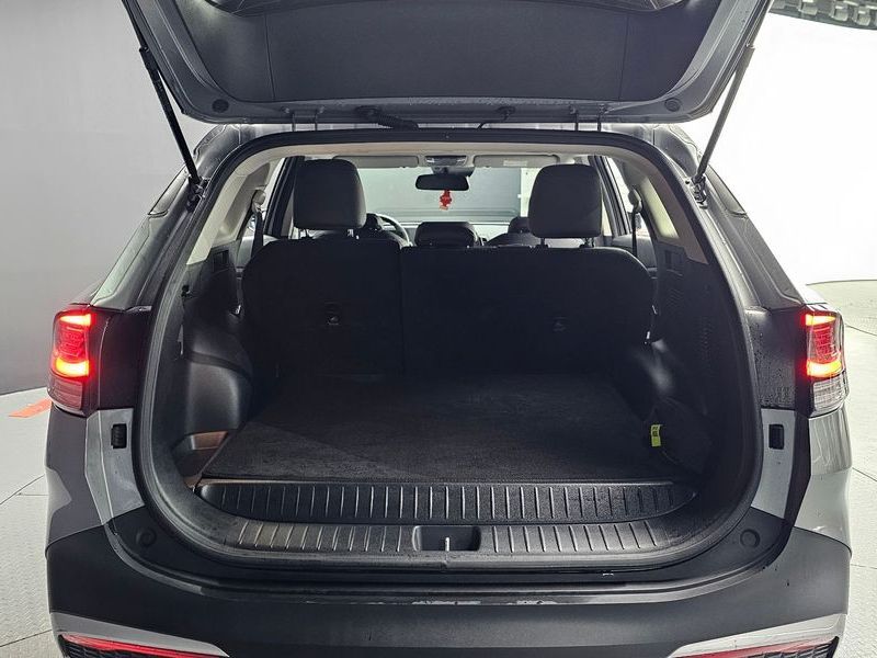 Image 19