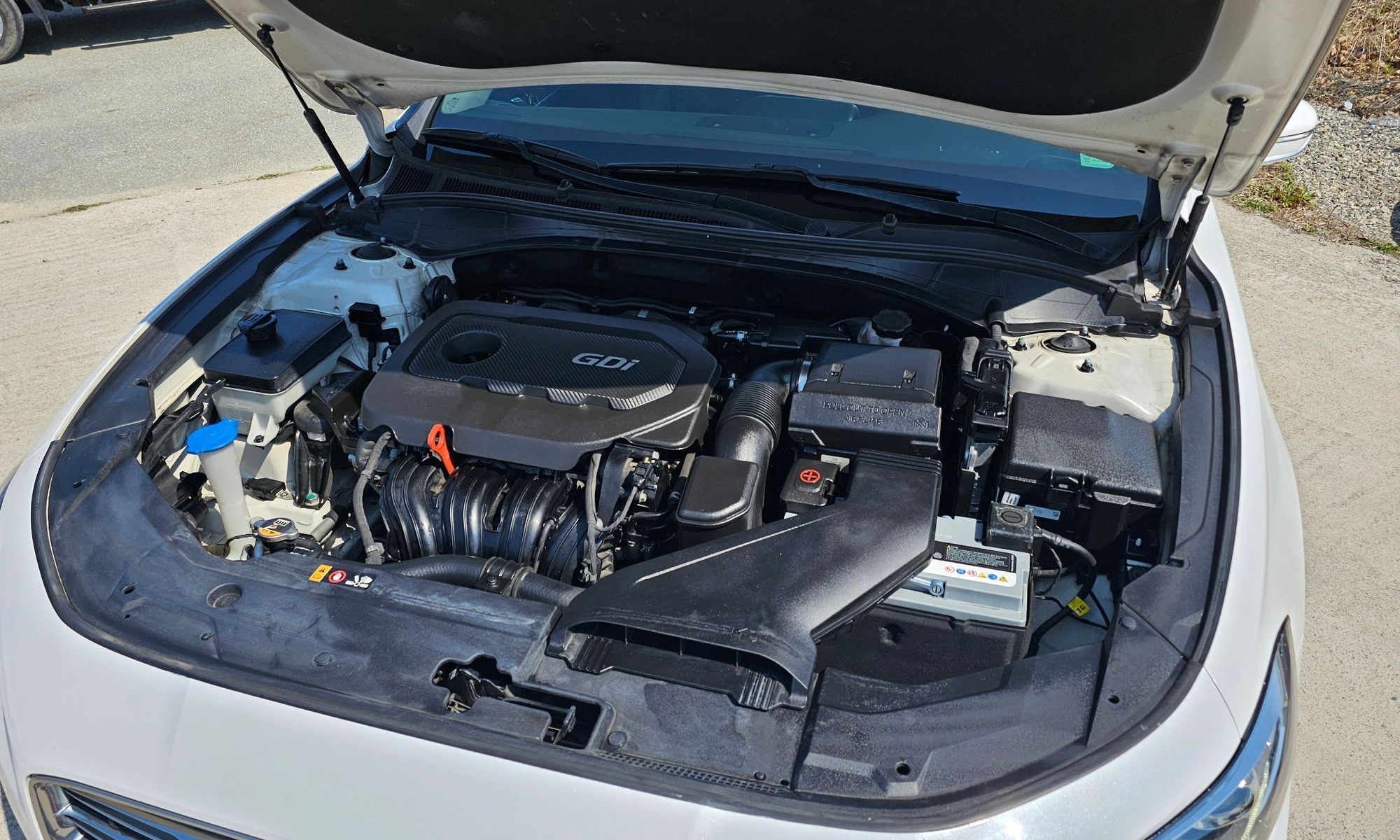 Image 5