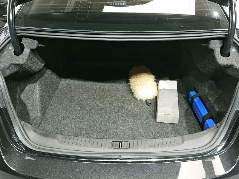 Image 19