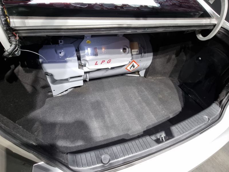 Image 19
