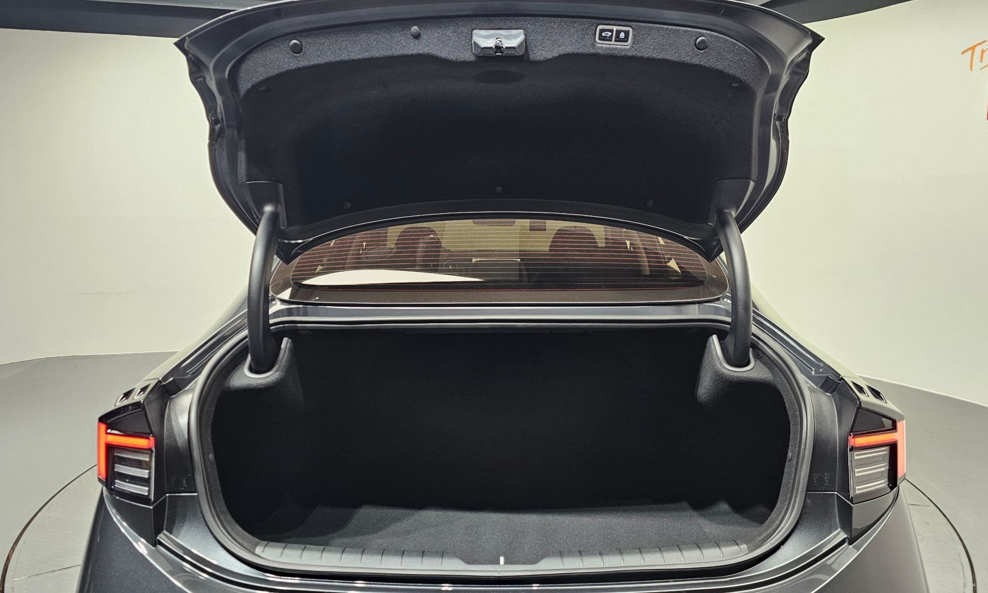Image 19