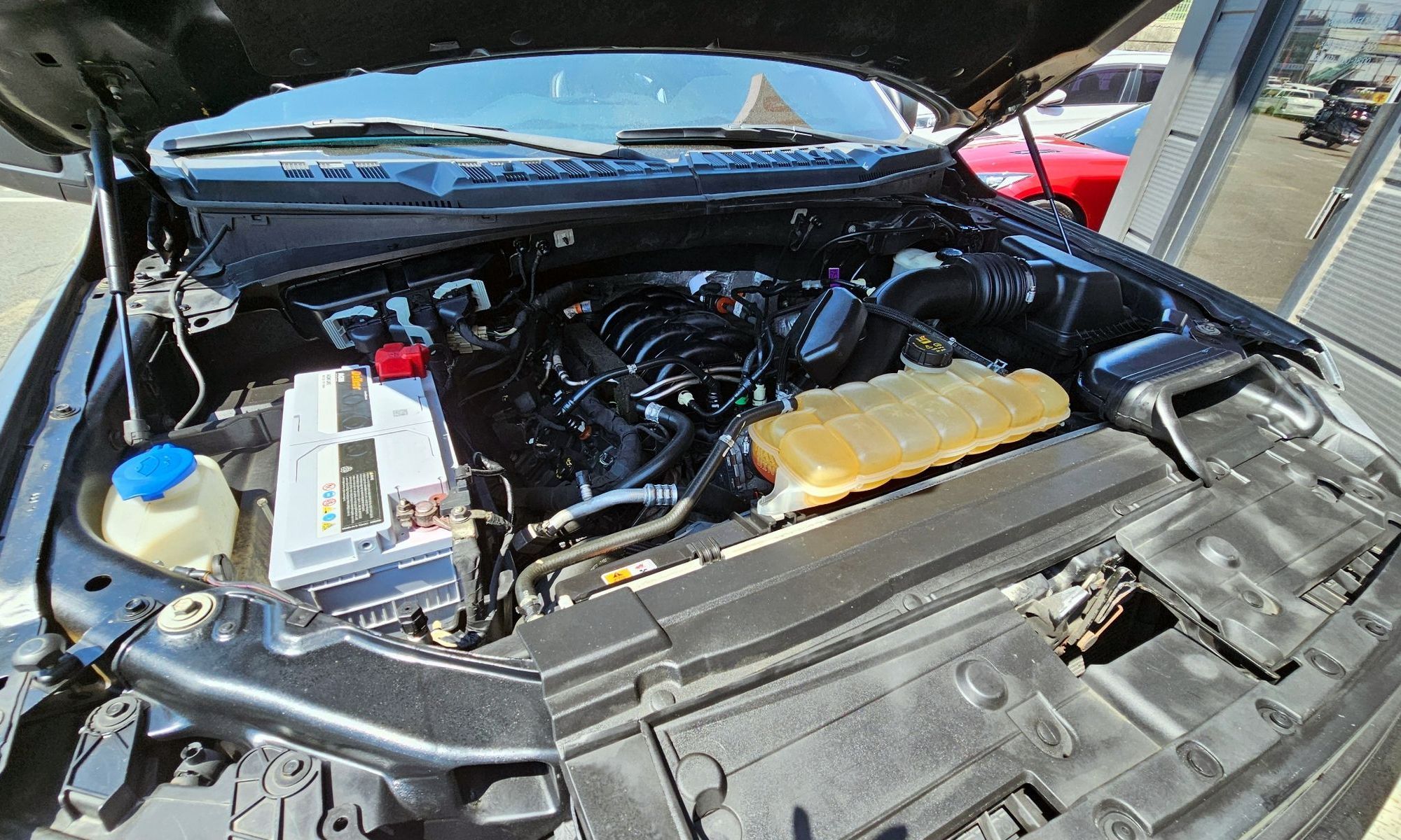 Image 5
