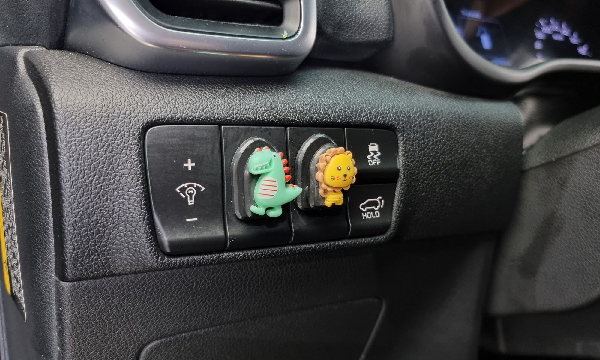 Image 16