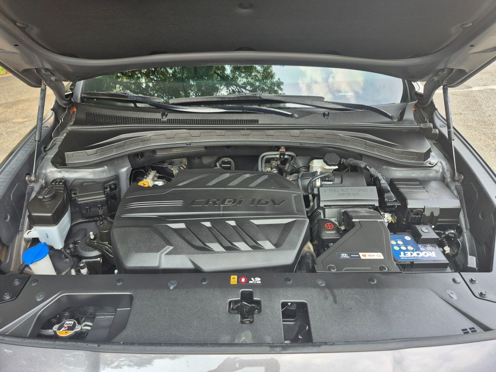 Image 19