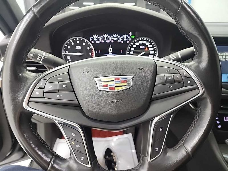 Image 7